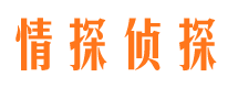 桑日情探私家侦探公司